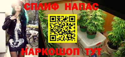 ECSTASY Ставрополь