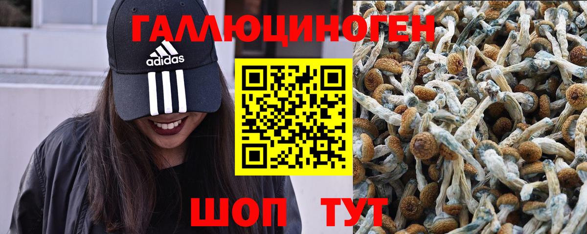 Псилоцибиновые грибы прущие грибы Нижневартовск