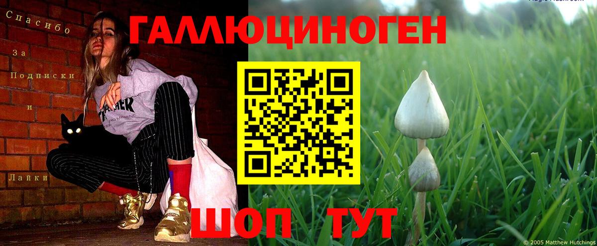 Псилоцибиновые грибы MAGIC MUSHROOMS  купить наркоту  Нижневартовск  Вход с VPN  Галлюциногенные грибы Cubensis 